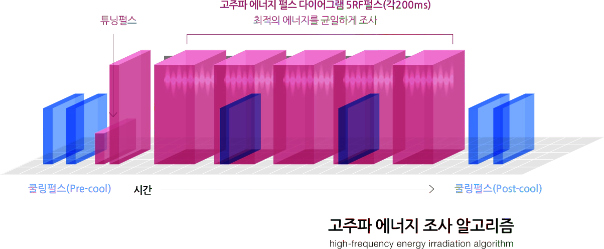 thermage 슬라이드 2번째