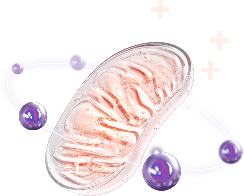 nad_therapy 슬라이드 2번째